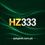 HZ333 game