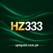 HZ333 game