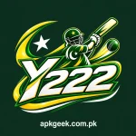 Y222 game