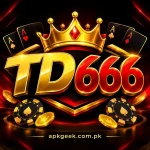 TD666 game